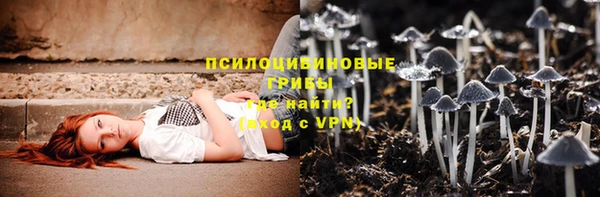 меф Алексин