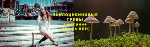 тгк Алексеевка