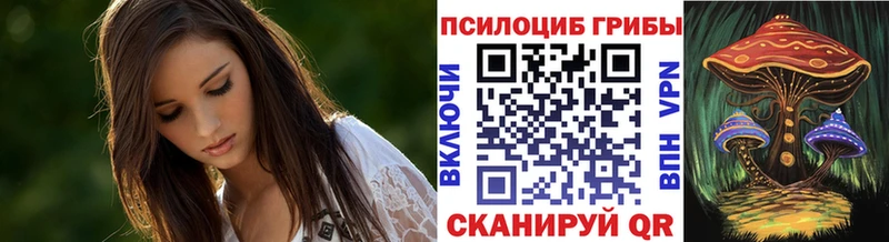 Галлюциногенные грибы мицелий магазин продажи мега tor Казань